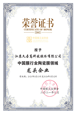 中国膜行业9I免费看片领域龙头企业