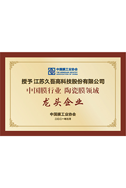 中国膜行业9I免费看片领域龙头企业